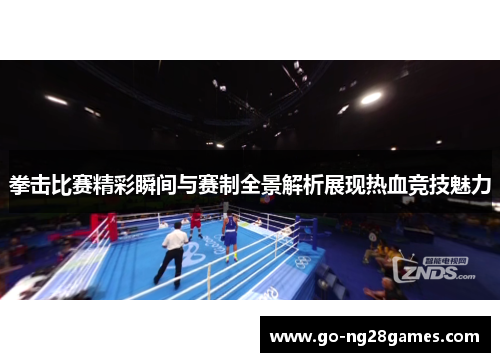 拳击比赛精彩瞬间与赛制全景解析展现热血竞技魅力