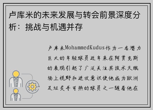 卢库米的未来发展与转会前景深度分析：挑战与机遇并存