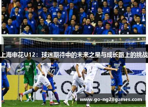 上海申花U12：球迷期待中的未来之星与成长路上的挑战