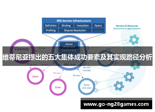 维蒂尼亚提出的五大集体成功要素及其实现路径分析