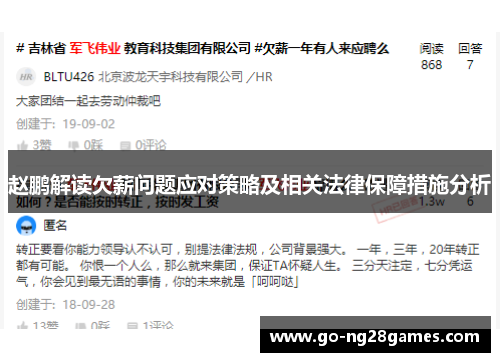 赵鹏解读欠薪问题应对策略及相关法律保障措施分析