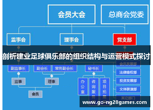 剖析建业足球俱乐部的组织结构与运营模式探讨