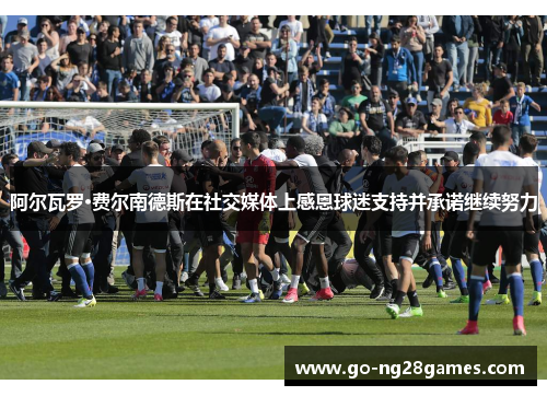 阿尔瓦罗·费尔南德斯在社交媒体上感恩球迷支持并承诺继续努力