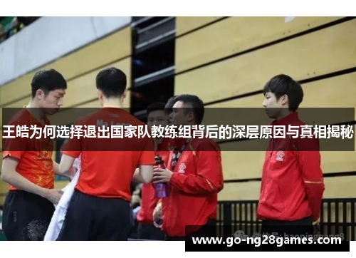 王皓为何选择退出国家队教练组背后的深层原因与真相揭秘