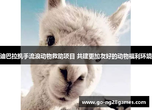 迪巴拉携手流浪动物救助项目 共建更加友好的动物福利环境