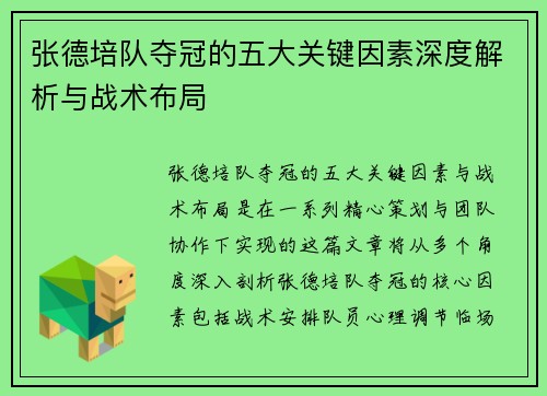 张德培队夺冠的五大关键因素深度解析与战术布局